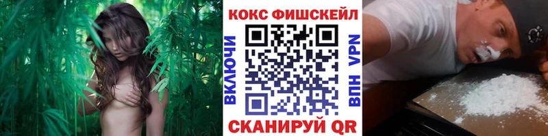 COCAIN Columbia  МЕГА ССЫЛКА  Нюрба 