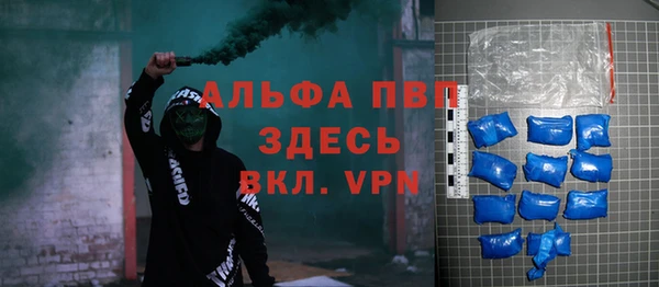 стафф Алексин