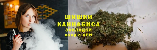 дмт Алзамай
