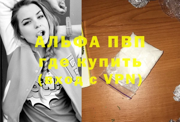 стафф Алексин