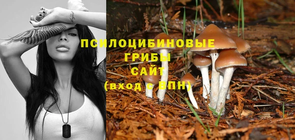дмт Алзамай