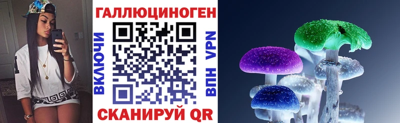 OMG зеркало Нюрба Галлюциногенные грибы Cubensis
